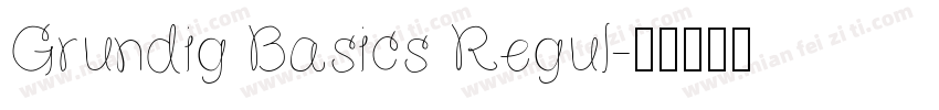 Grundig Basics Regul字体转换
